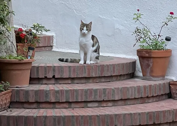 La Musa Bed & Breakfast 3*