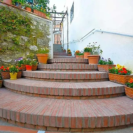 La Musa 3*