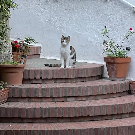 La Musa Bed & Breakfast 3*